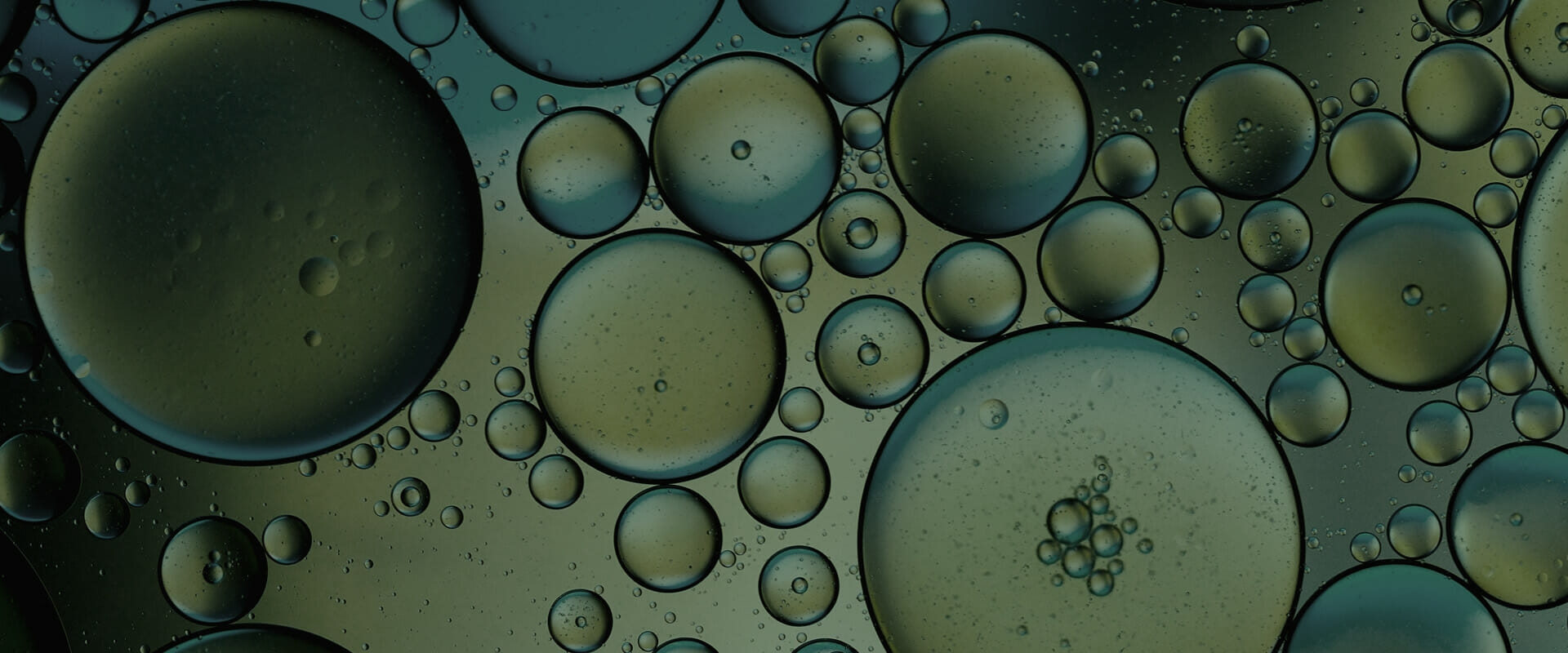 PFAS Litigation