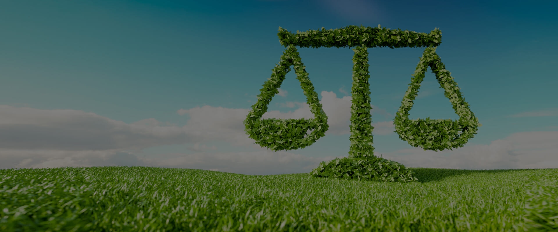 environmental justice